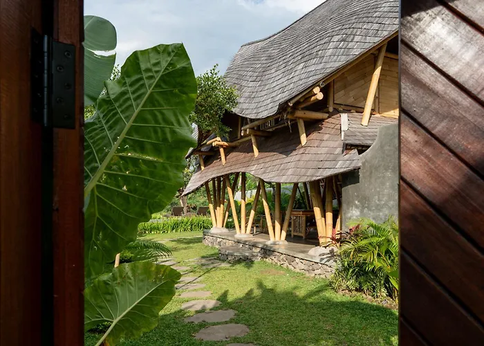 Damuh Alam Lovina (Bali)