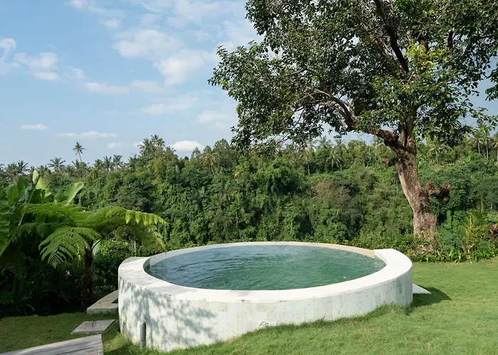 Damuh Alam Villa Lovina (Bali)