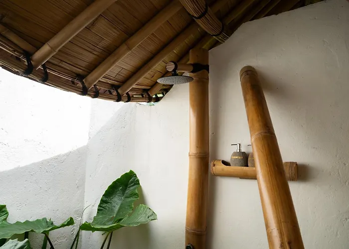 Damuh Alam Villa Lovina (Bali)